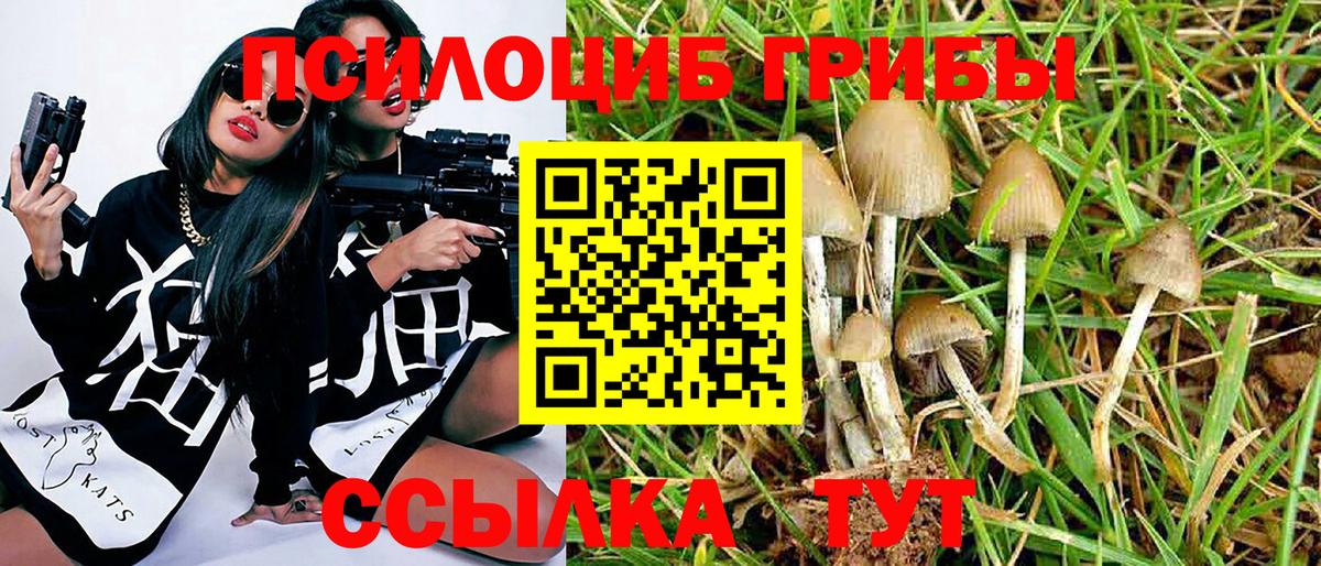 Междуреченск  Галлюциногенные грибы прущие грибы  Вход с VPN 